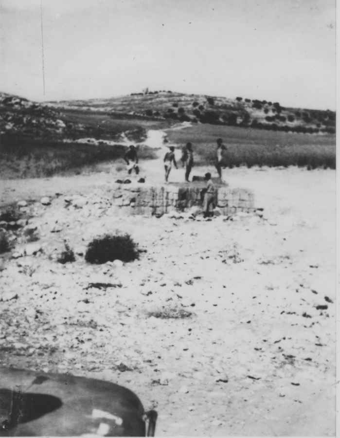 הרטוב