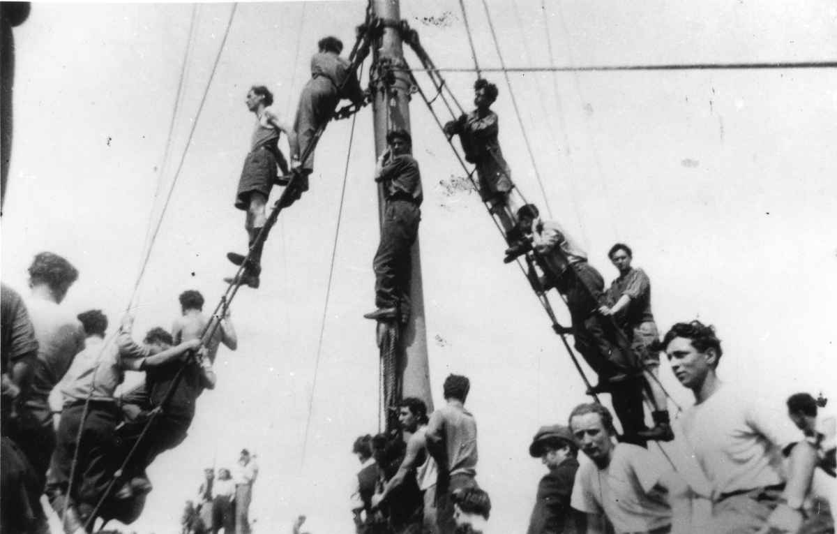 ספינת המעפילים "תל-חי"
