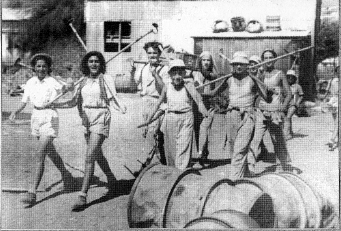 ההכשרה הבולגרית בקיבוץ הזורע