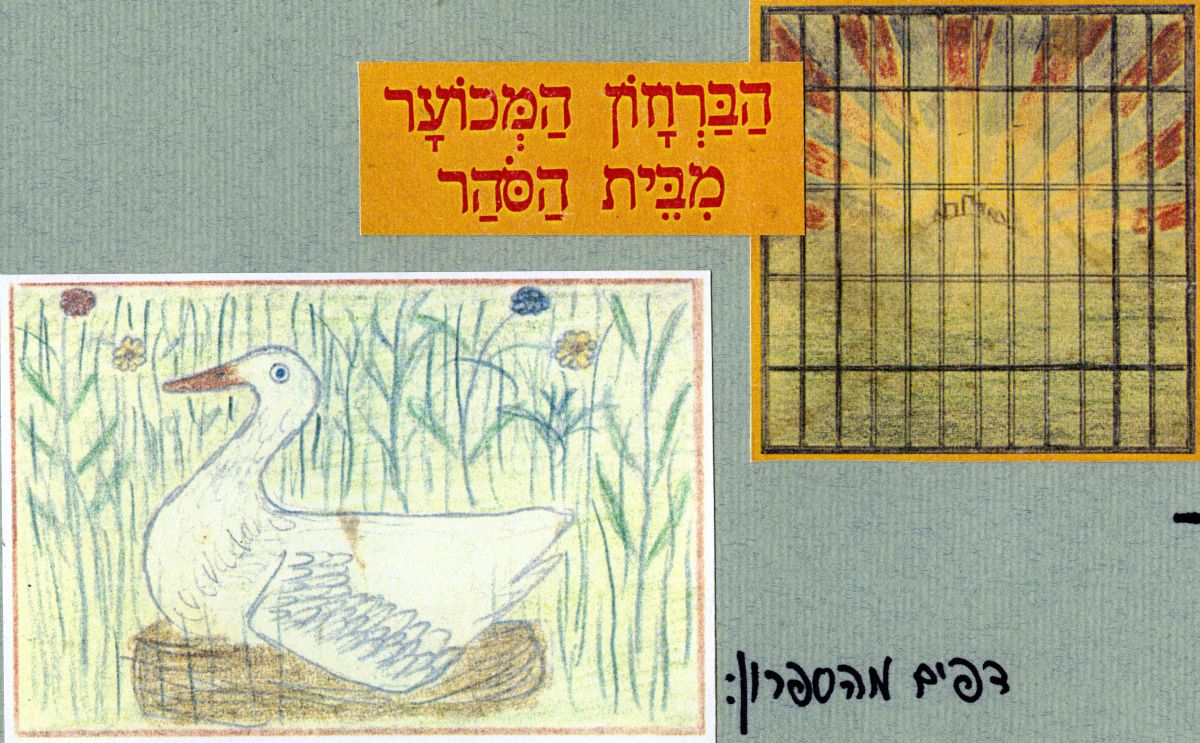 הברווזון המכוער מבית הסוהר