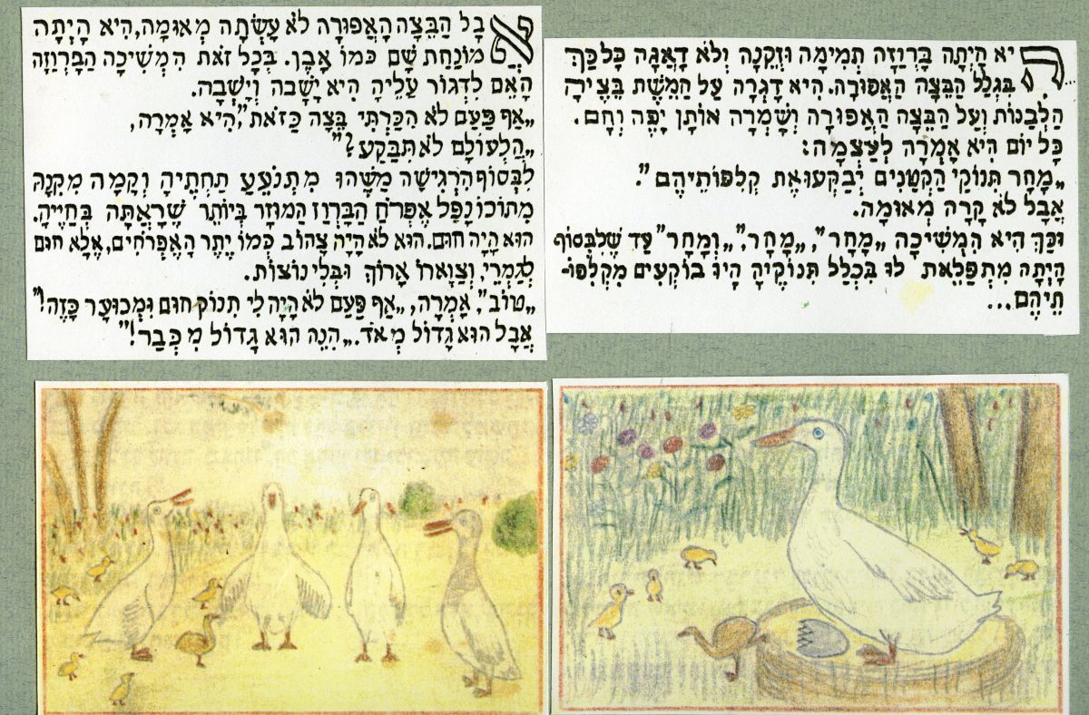 הברווזון המכוער מבית הסוהר