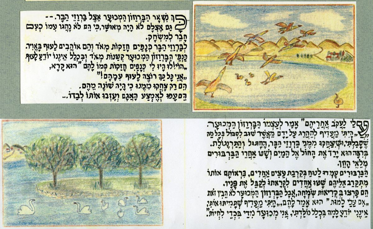 הברווזון המכוער מבית הסוהר