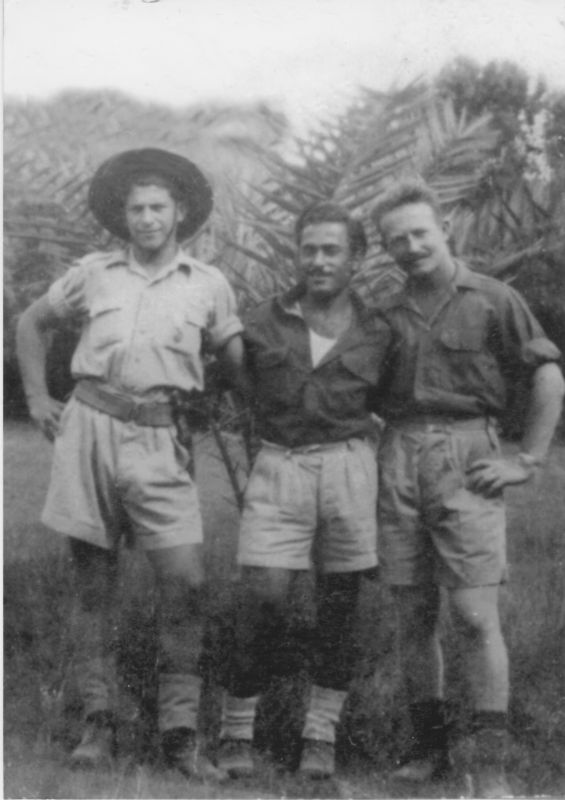 הסיירים בגדוד הרביעי