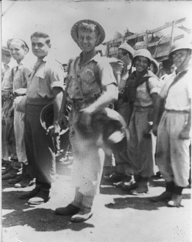 קרבות מלכיה