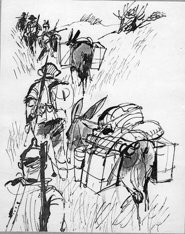 על משלטי קדש – רמות נפתלי