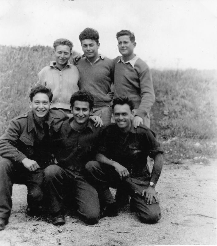 שועלי קרבות משופשפים