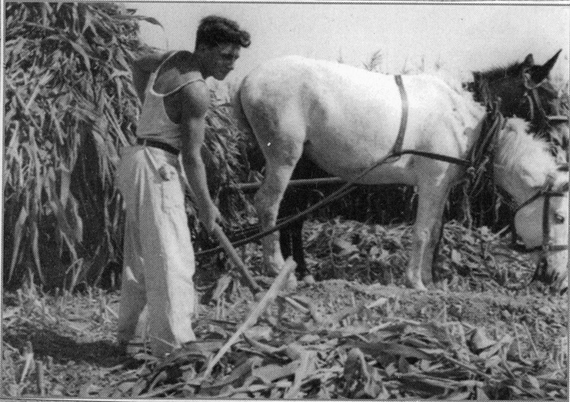 השלמת קיבוצים קיימים