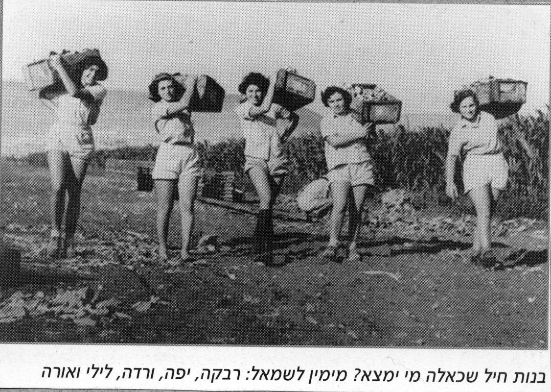 השלמת קיבוצים קיימים