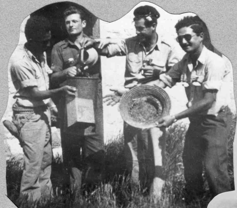 הווי באהלים...