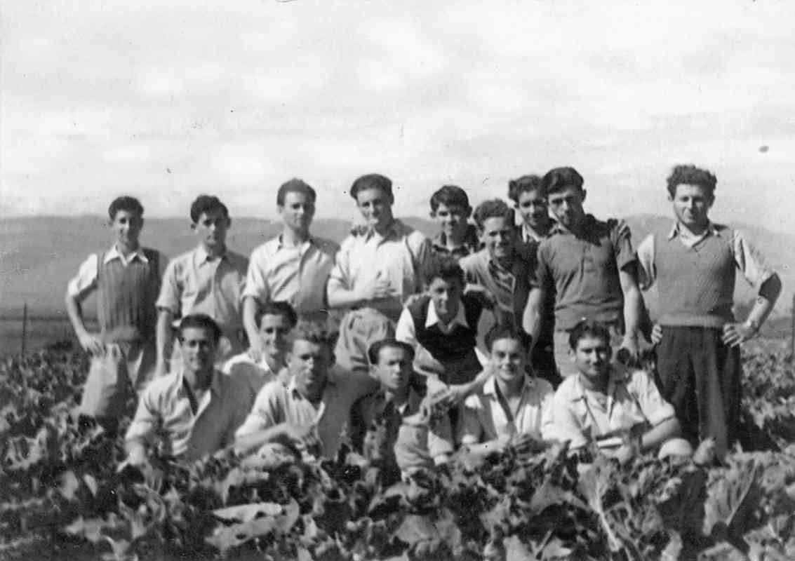 מחלקת להבות הבשן