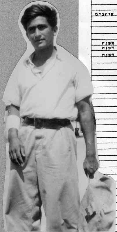 היחידות המסייעות