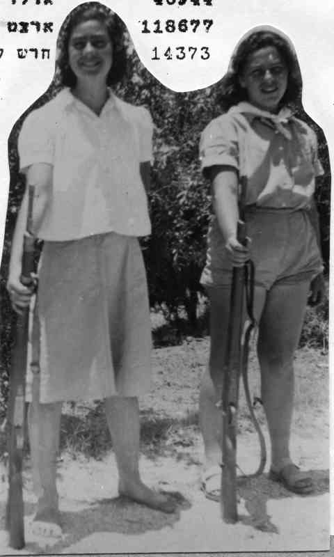 היחידות המסייעות