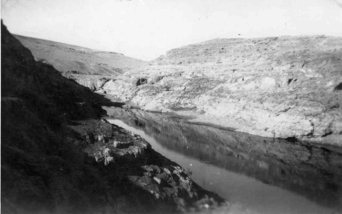 כיבוש כורנוב, יחידת החבלנים, גדוד 7