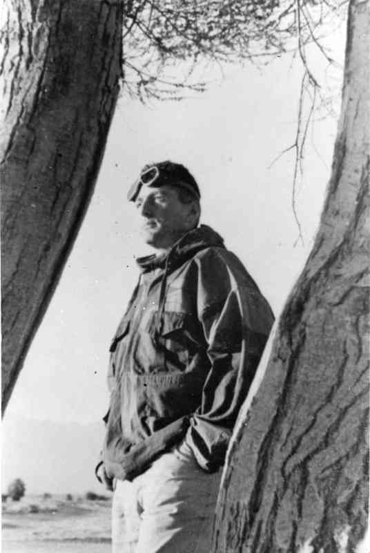 סיורים בערבה