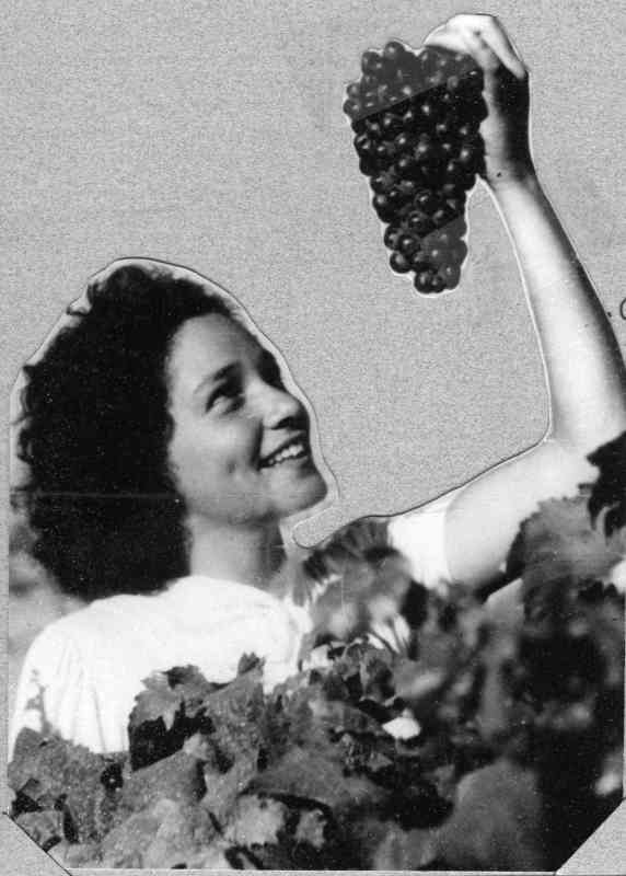 כל אחת וה... שלה...