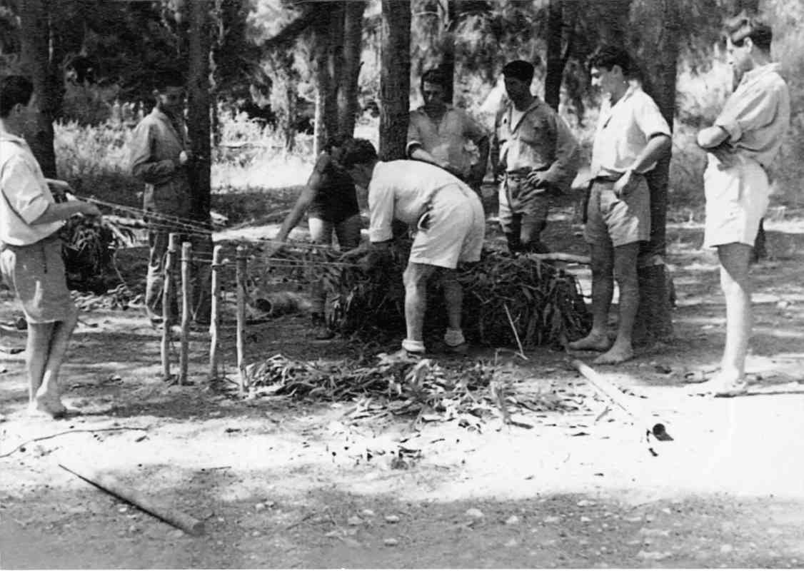 בחורשת גנוסר