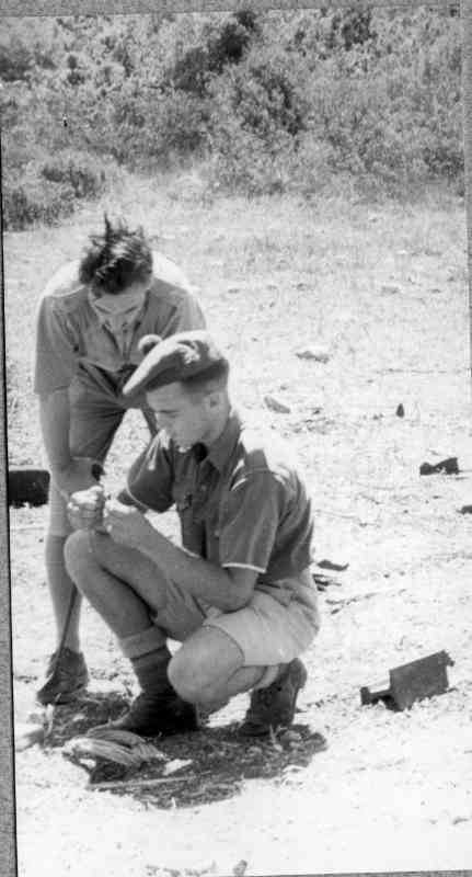 אימונים בנשק