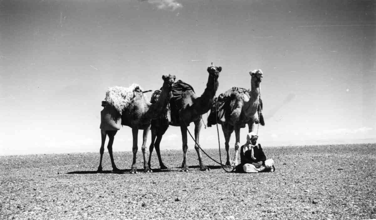 סיירים וסיורים