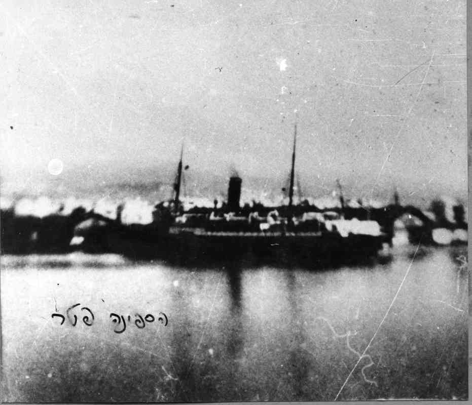 טיפין טיפין ההתחלה של העלייה לאחר סיום מלחמת העולם השנייה