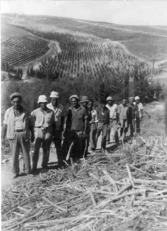 מחלקת רמת יוחנן, 1945