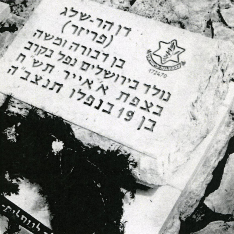 כרית הקבר של דן תמונה