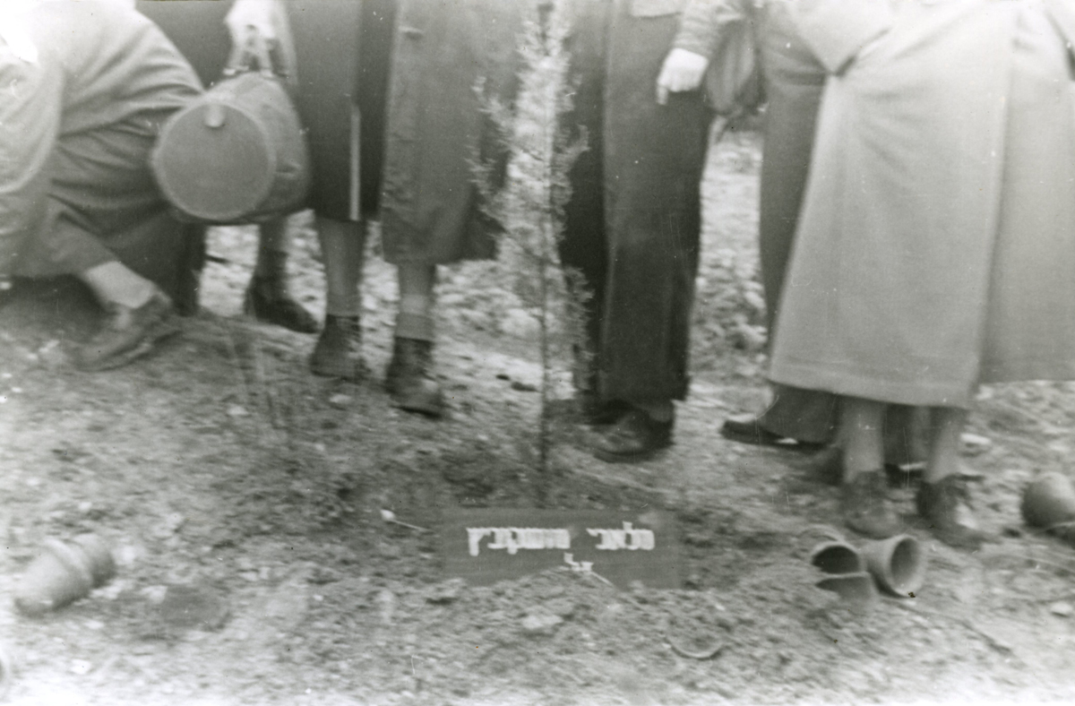 נטיעת העץ לזכרו על ידי בני המשפחה בנבי יושע תמונה