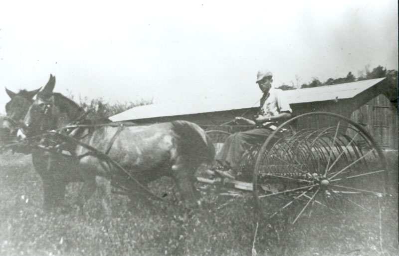 בראש פינה, כיבוש הגליל 1948 תמונה